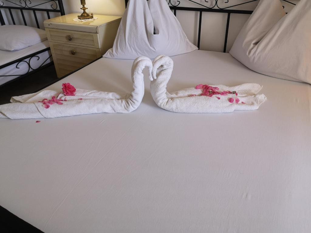 Apartmani Zderic Gradac  Buitenkant foto